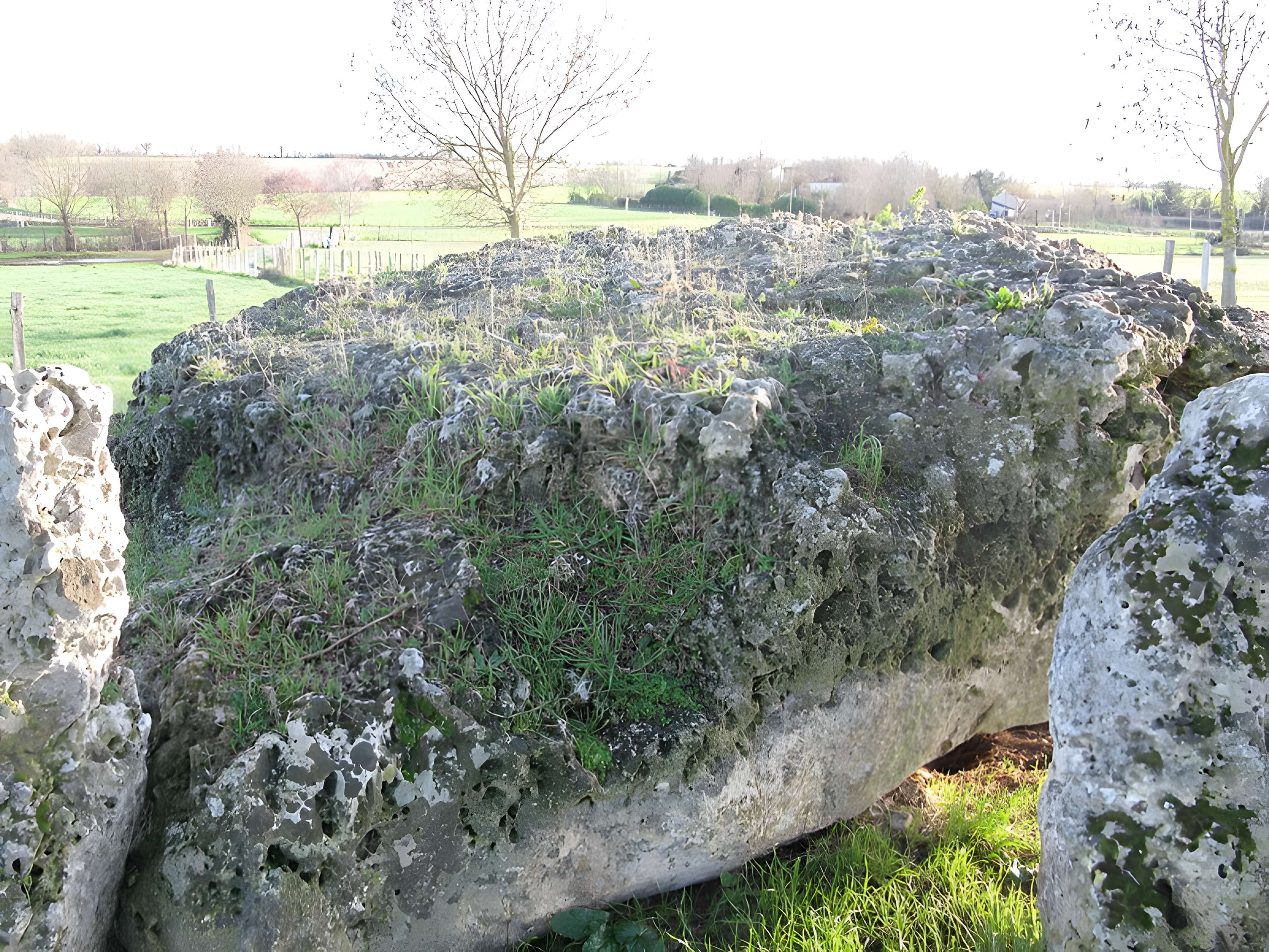 Ensemble mégalithique de la Pierre Levée à La Vallée