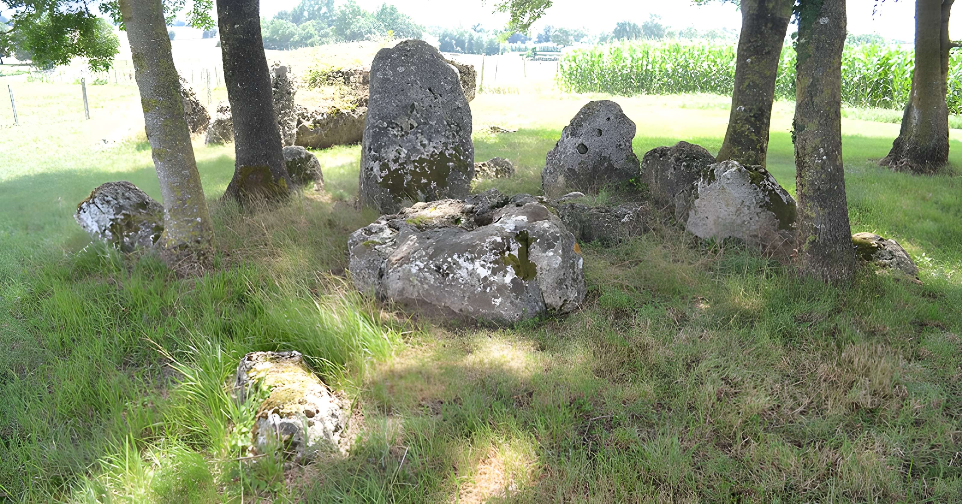 Ensemble mégalithique de la Pierre Levée à La Vallée