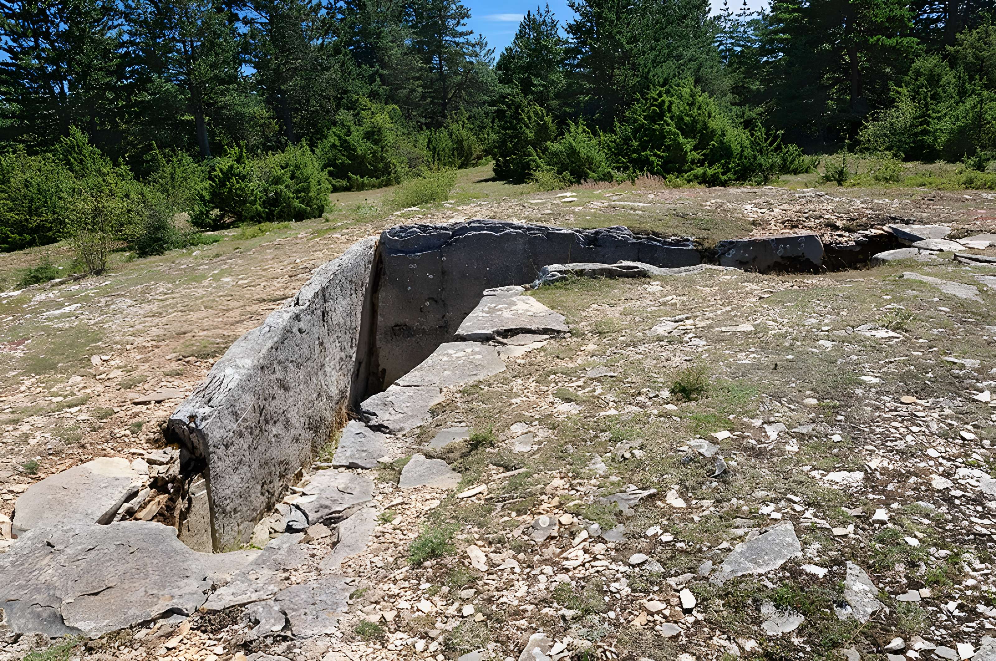 Ensemble mégalithique de l'Aire des Trois-Seigneurs (également sur commune de Laval-du-Tarn)