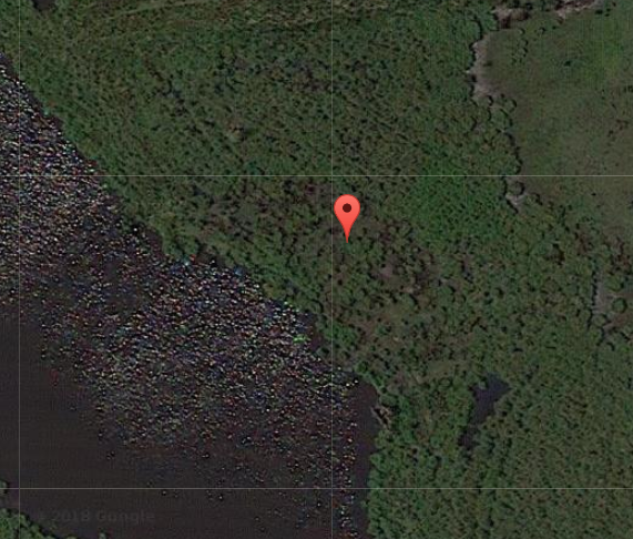 Photo de Ensemble mégalithique de Saint-Joachim