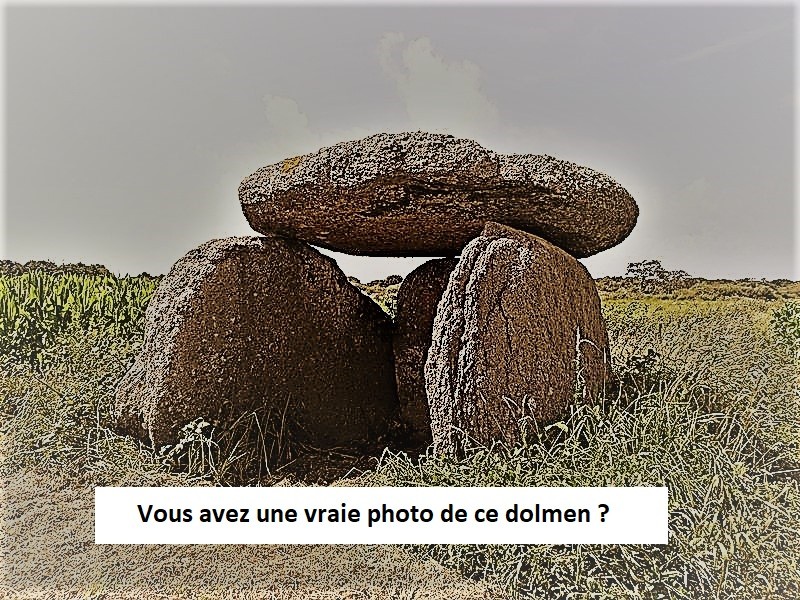 Photo de Ensemble mégalithique du Lion-d'Angers
