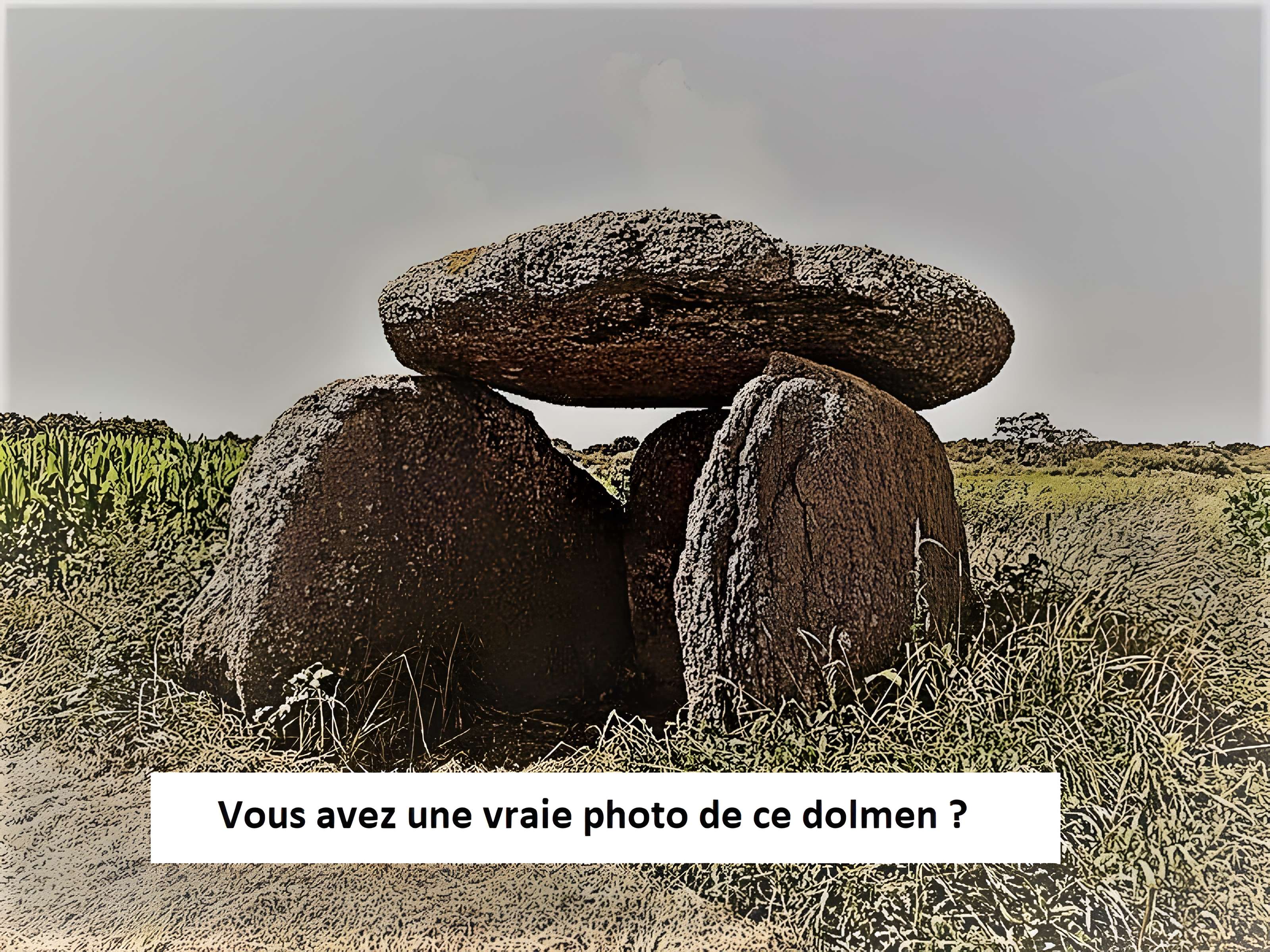 Ensemble mégalithique du Lion-d'Angers 