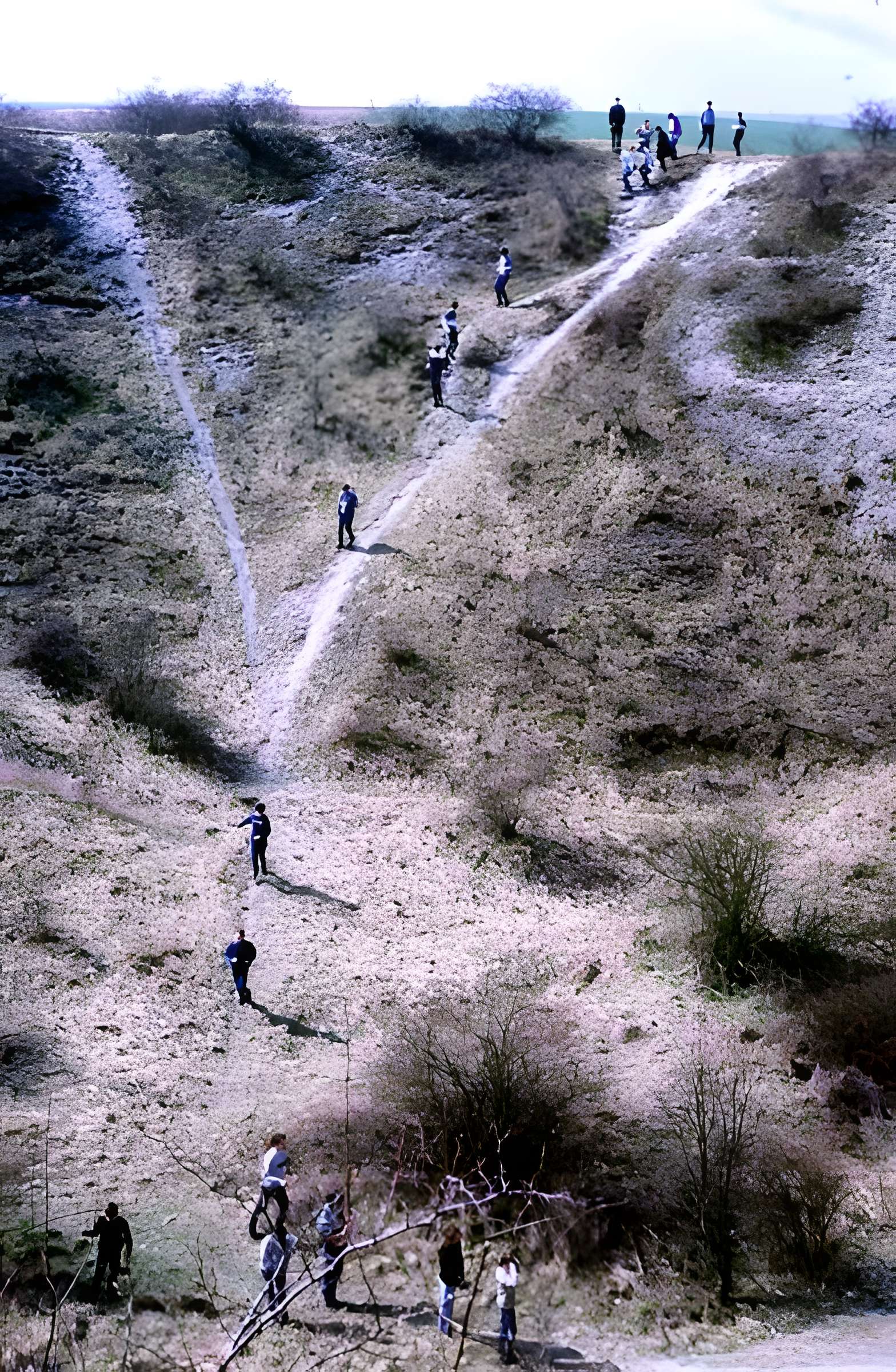 Entonnoir de mines de La Boisselle à Ovillers-la-Boisselle