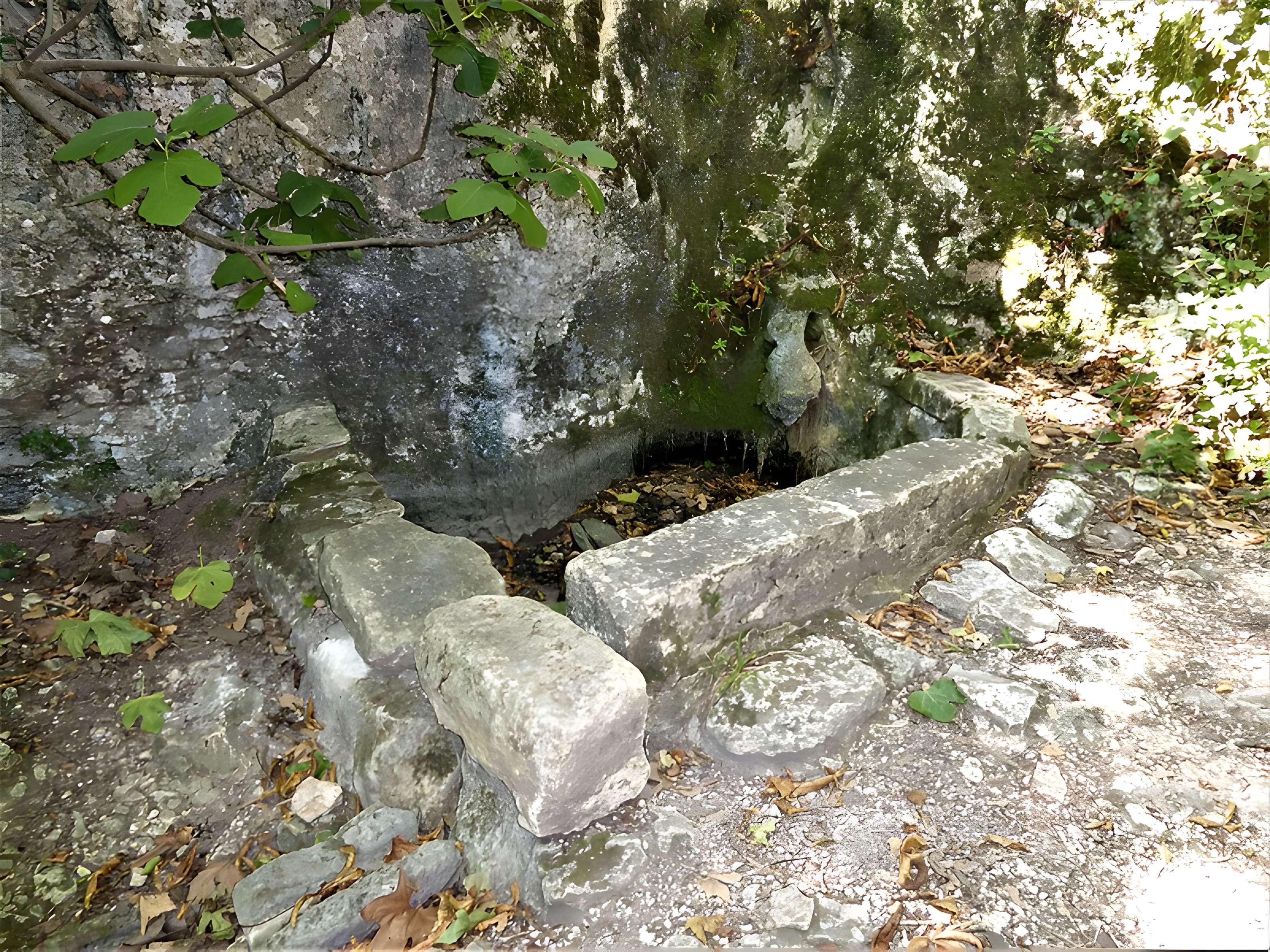Ermitage tel qu'il est délimité par un mur d'enceinte