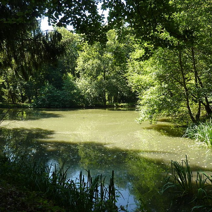 Photo de Ermitage de Saint-Rouin