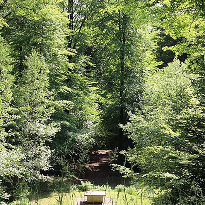 Photo de Ermitage de Saint-Rouin