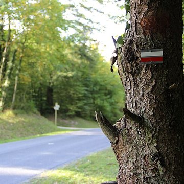 Ermitage de Saint-Rouin