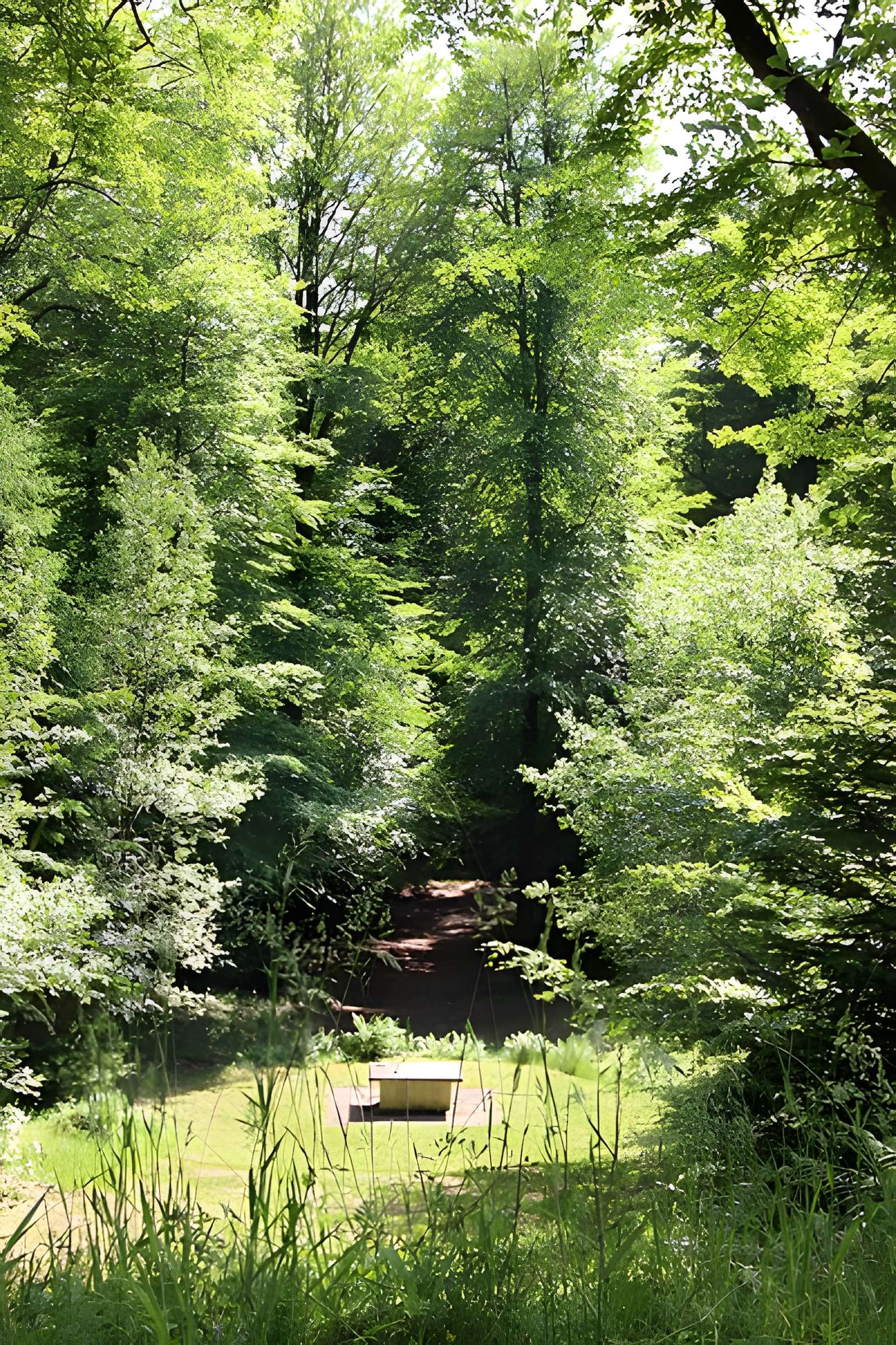 Ermitage de Saint-Rouin