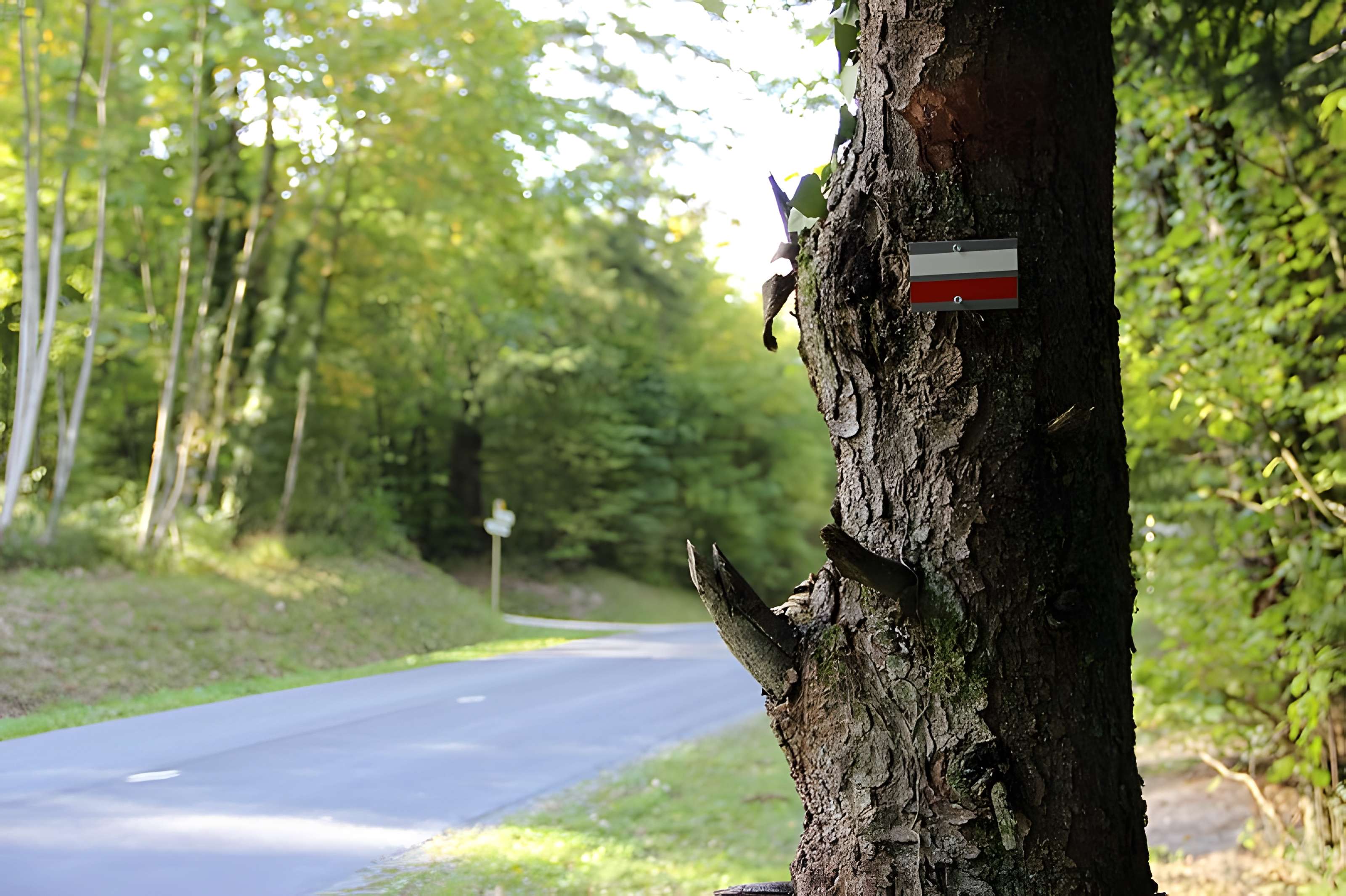 Ermitage de Saint-Rouin