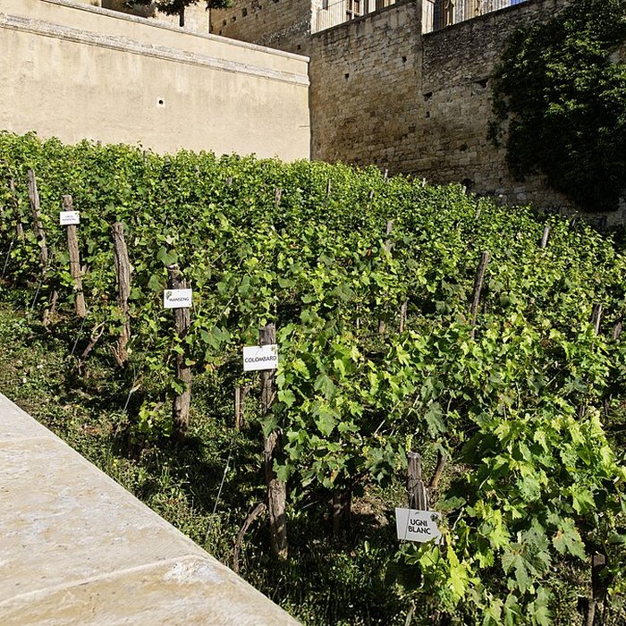 Photo de Escalier monumental dAuch