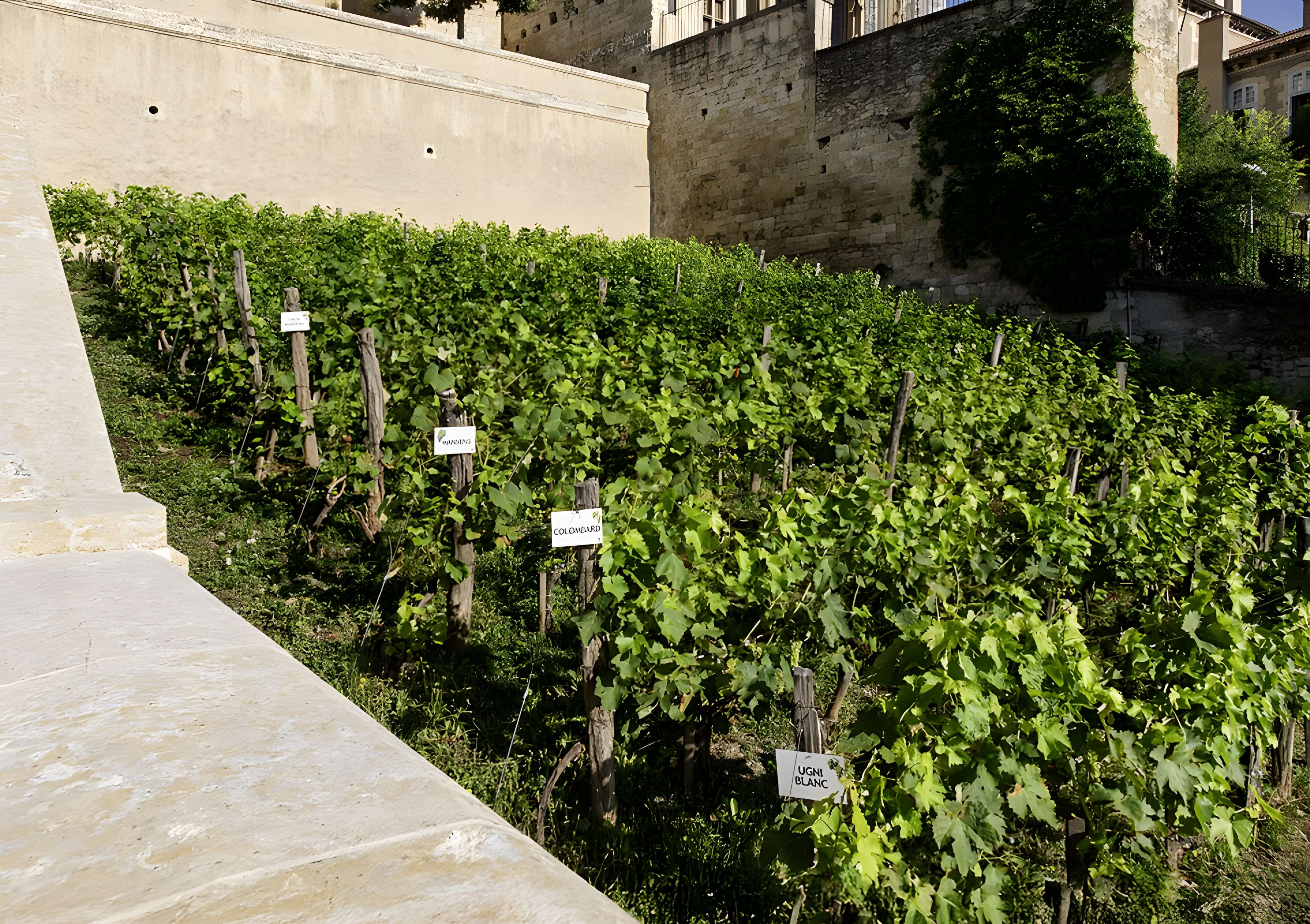Escalier monumental d'Auch