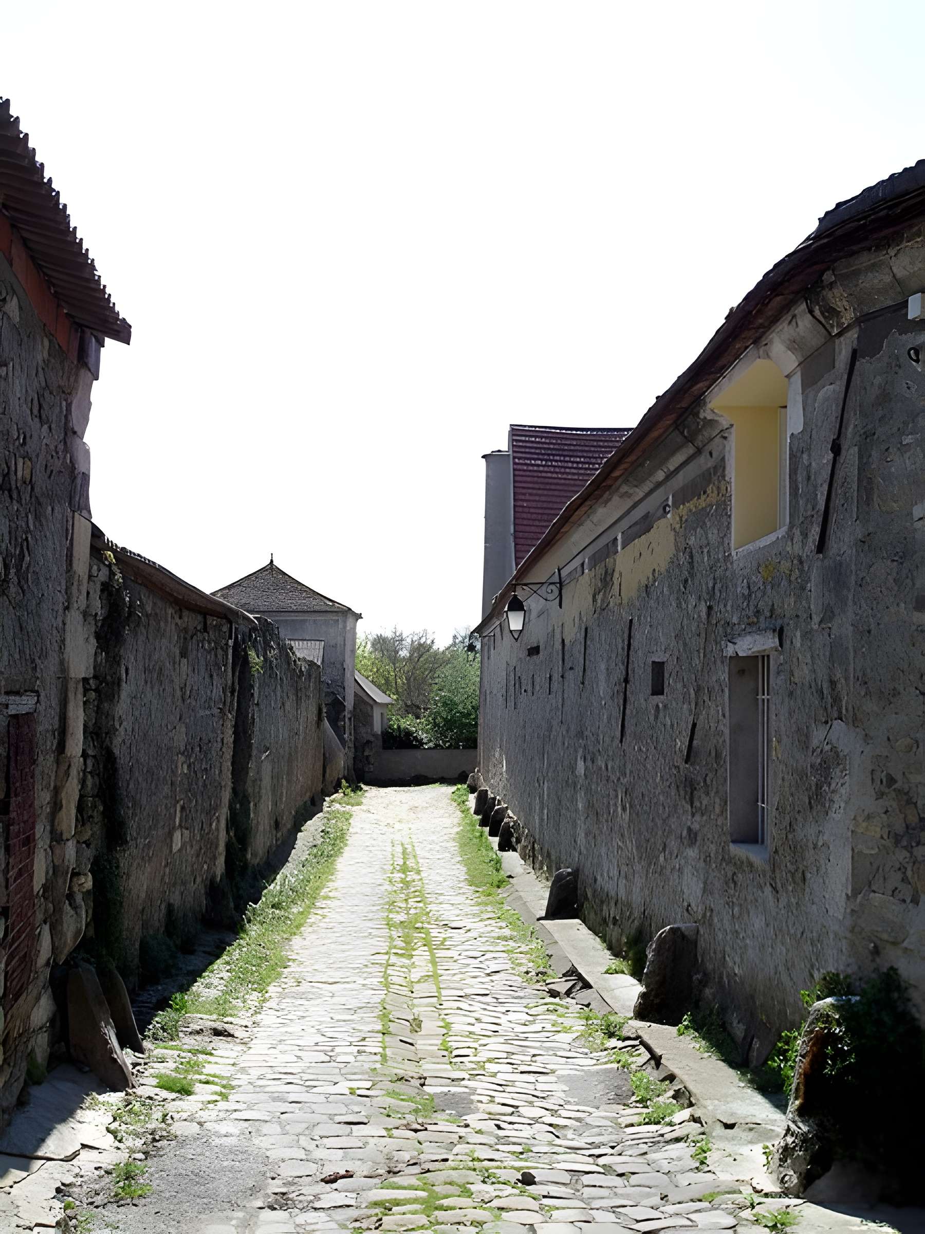 Ferme de la Rue aux Blés à Louvres