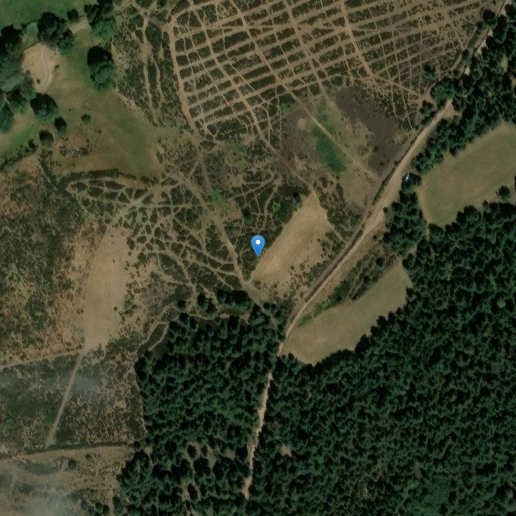 Photo de 蒙特塞尔盖斯埃斯皮纳斯农场