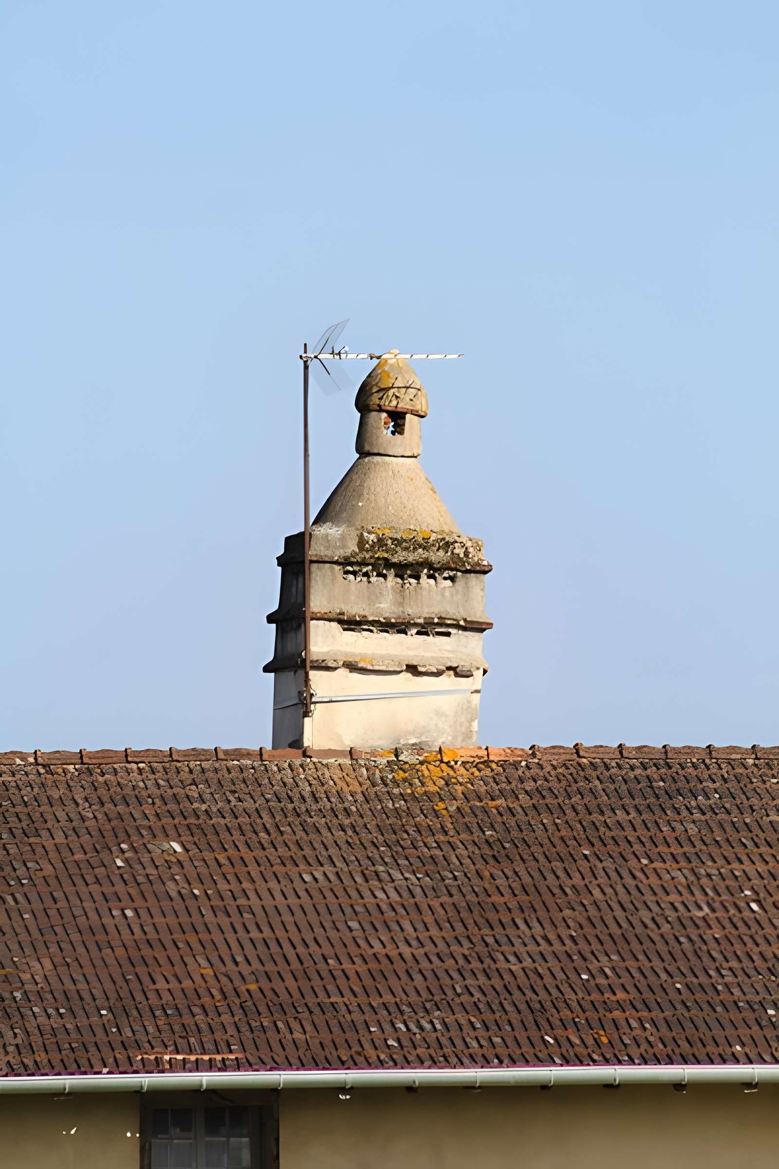 Ferme de Molardoury à Saint-Trivier-de-Courtes