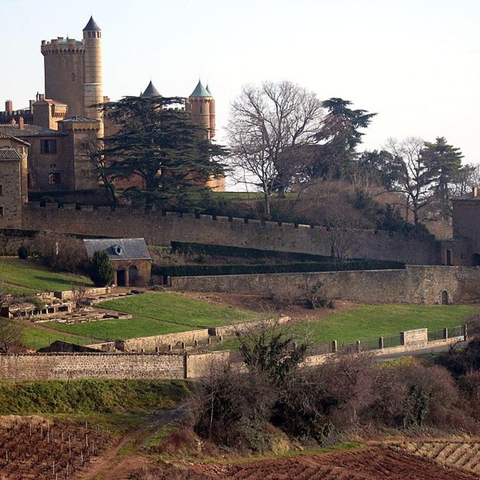 Photo de Chapelle de Saint-Bonnet à Montmelas-Saint-Sorlin