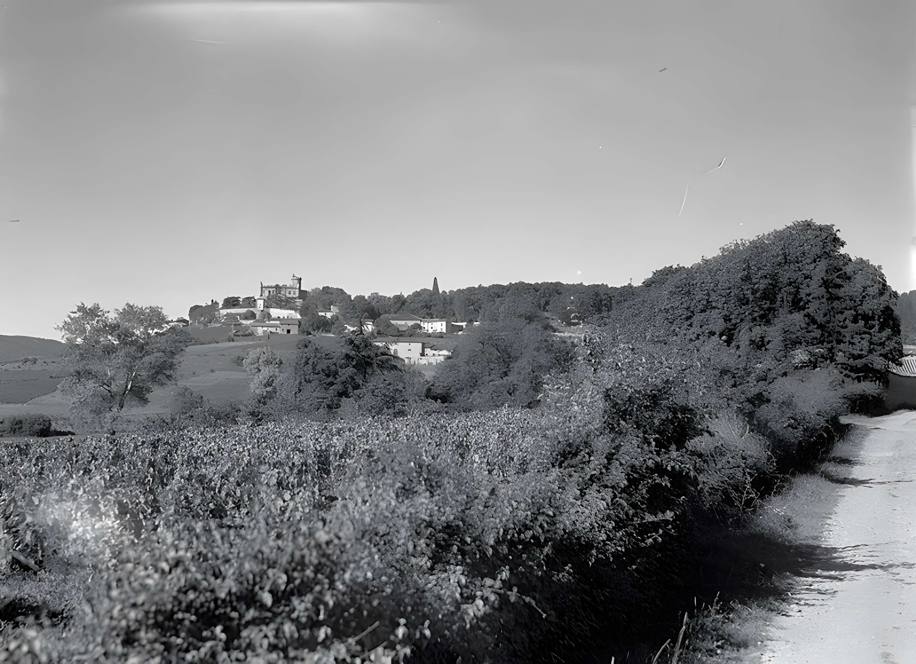 Chapelle de Saint-Bonnet à Montmelas-Saint-Sorlin