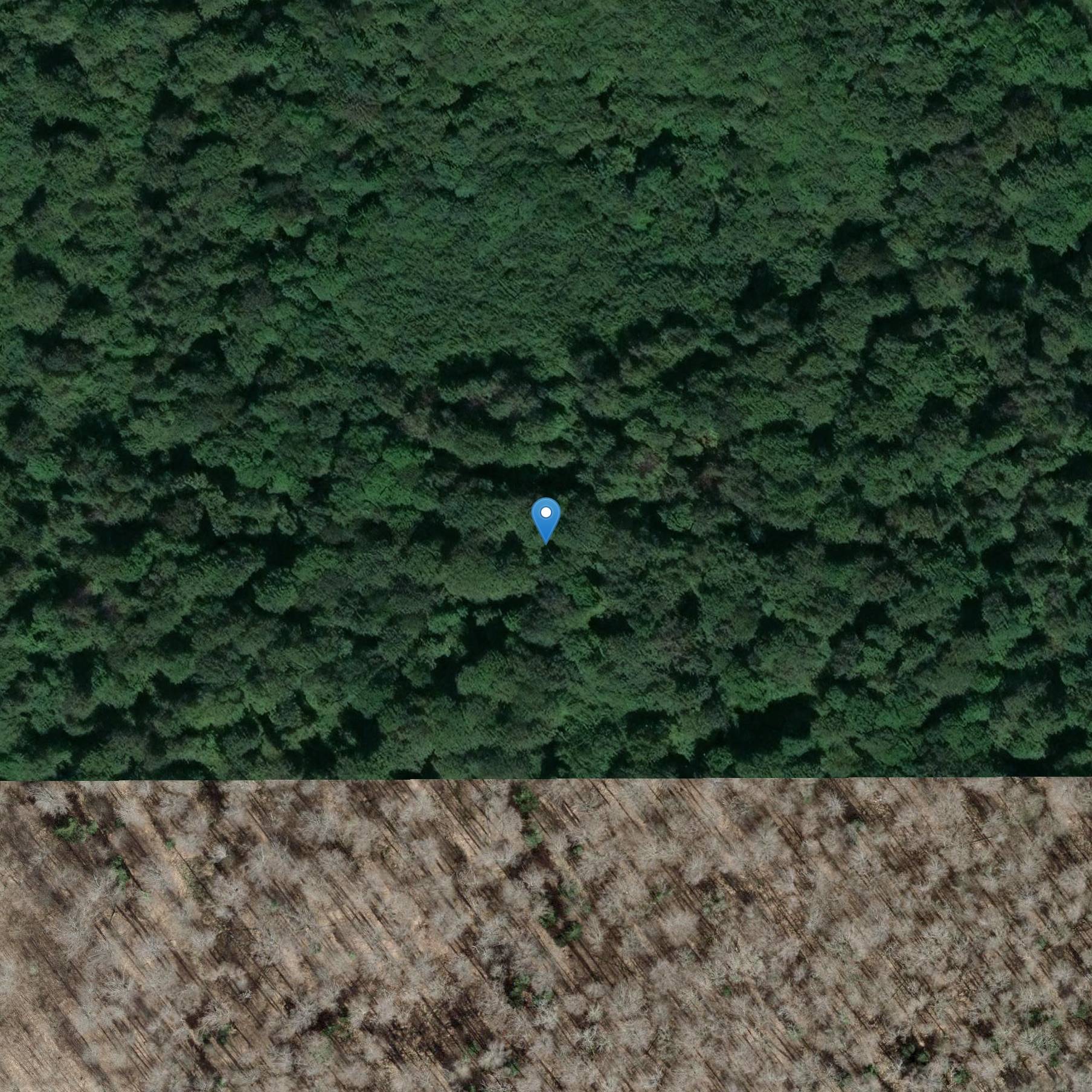 Photo de Ferme du Paquis en Réchésy