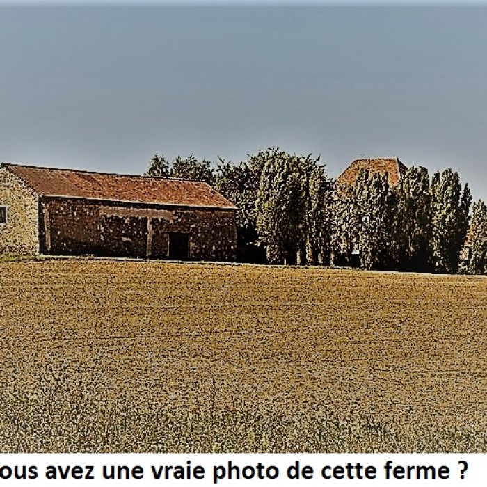 Photo de Ferme du Priou à Villefranche