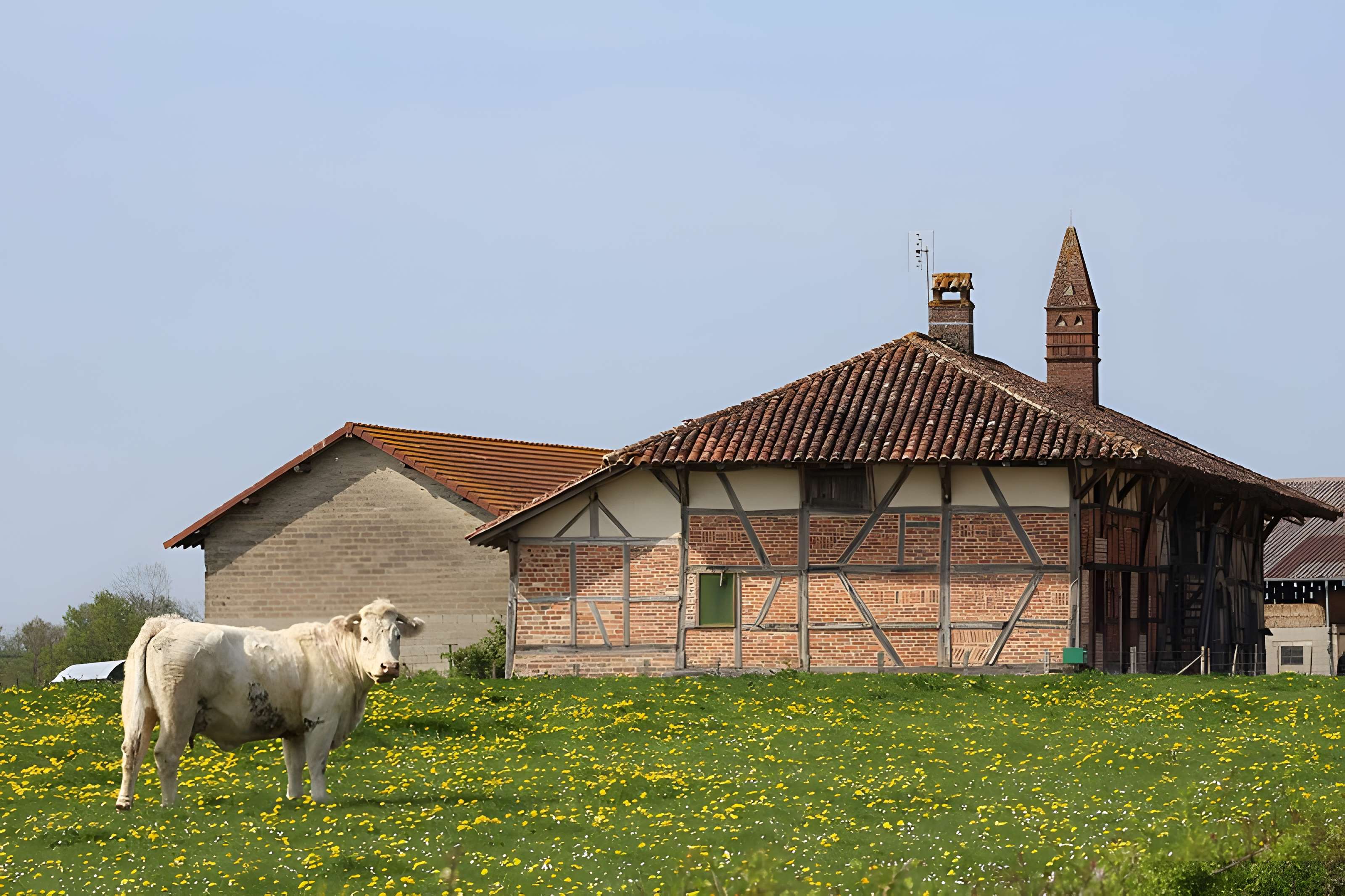 Ferme Ferrand à Vernoux