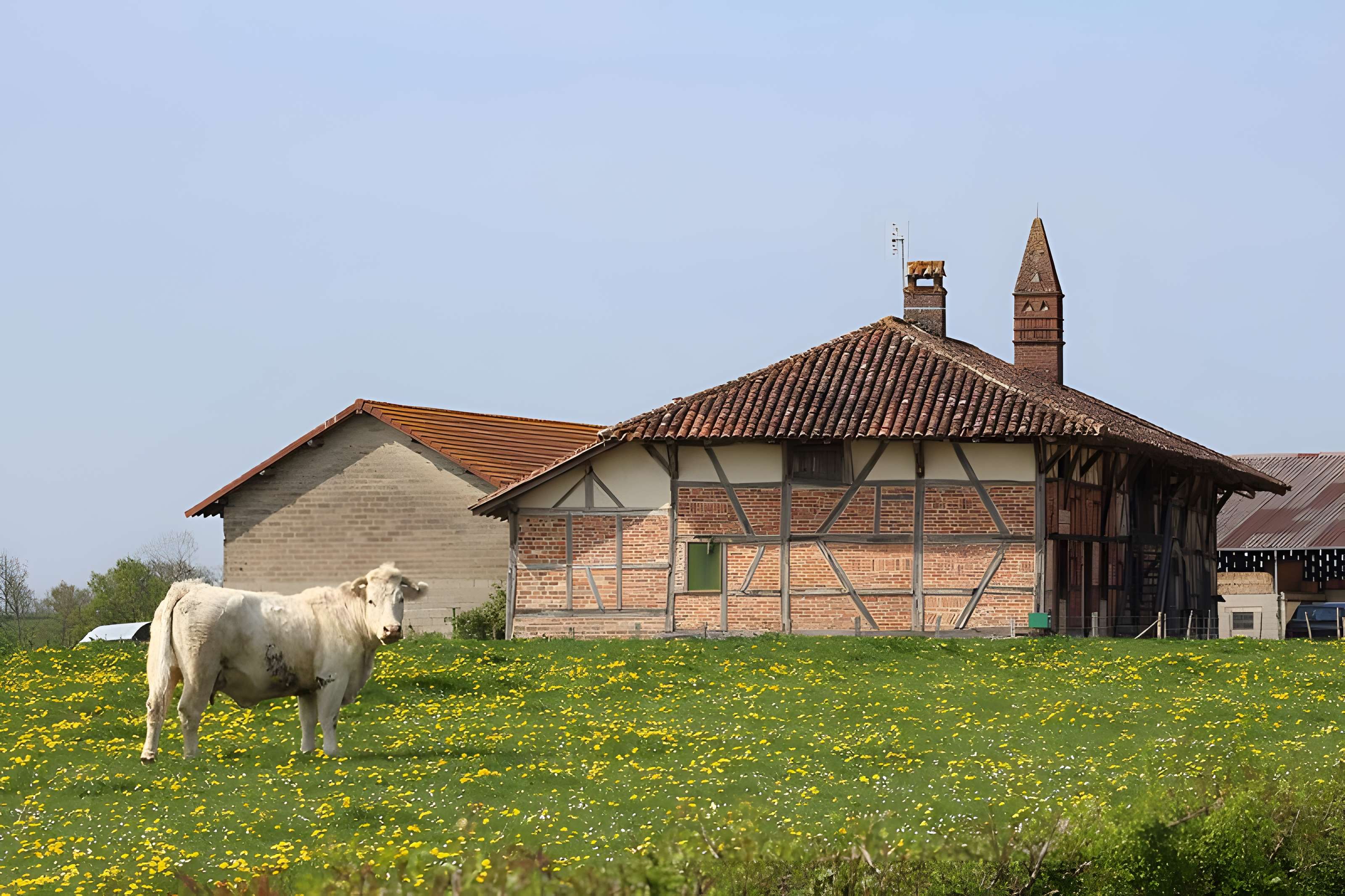 Ferme Ferrand à Vernoux