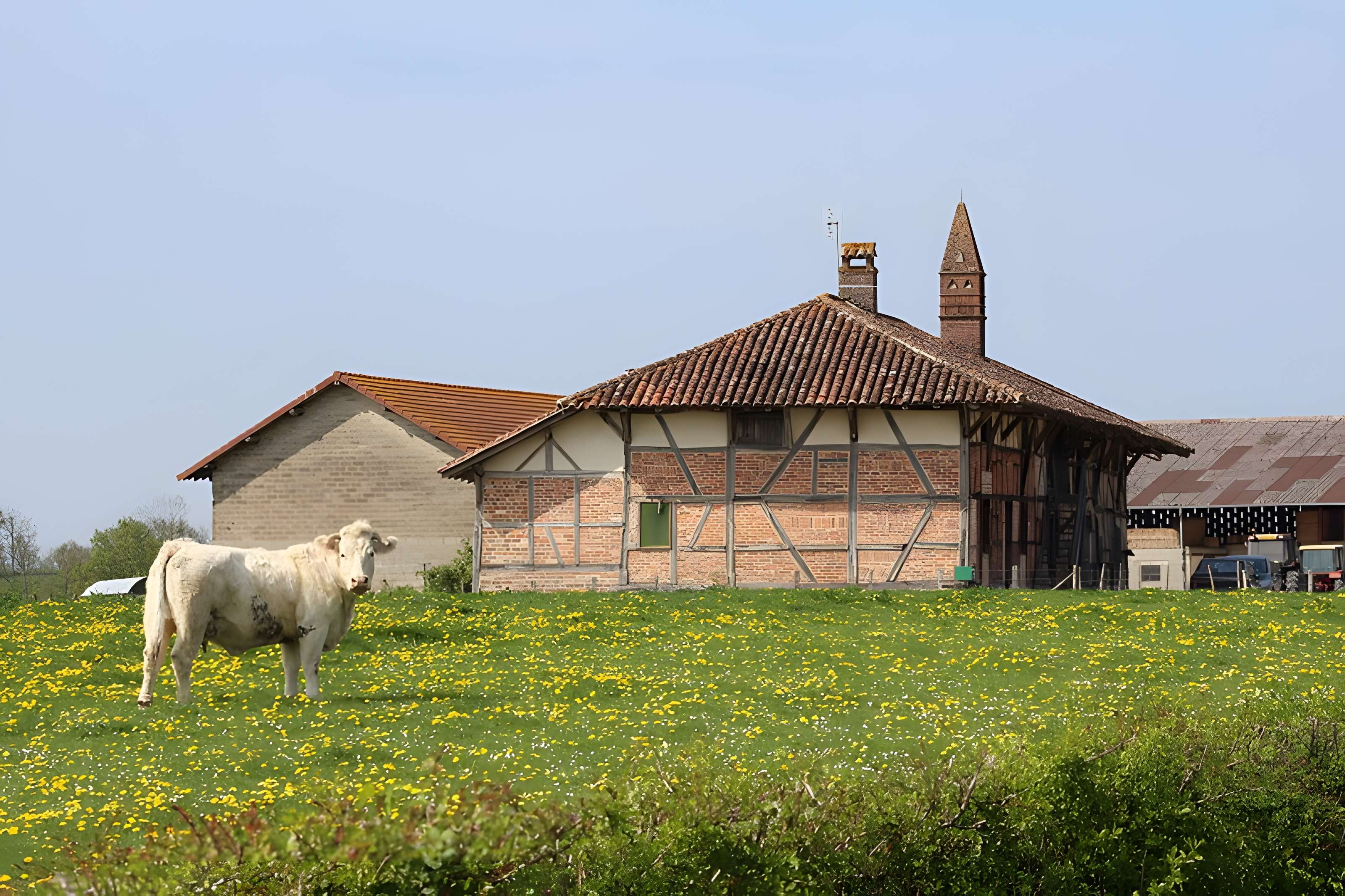 Ferme Ferrand à Vernoux