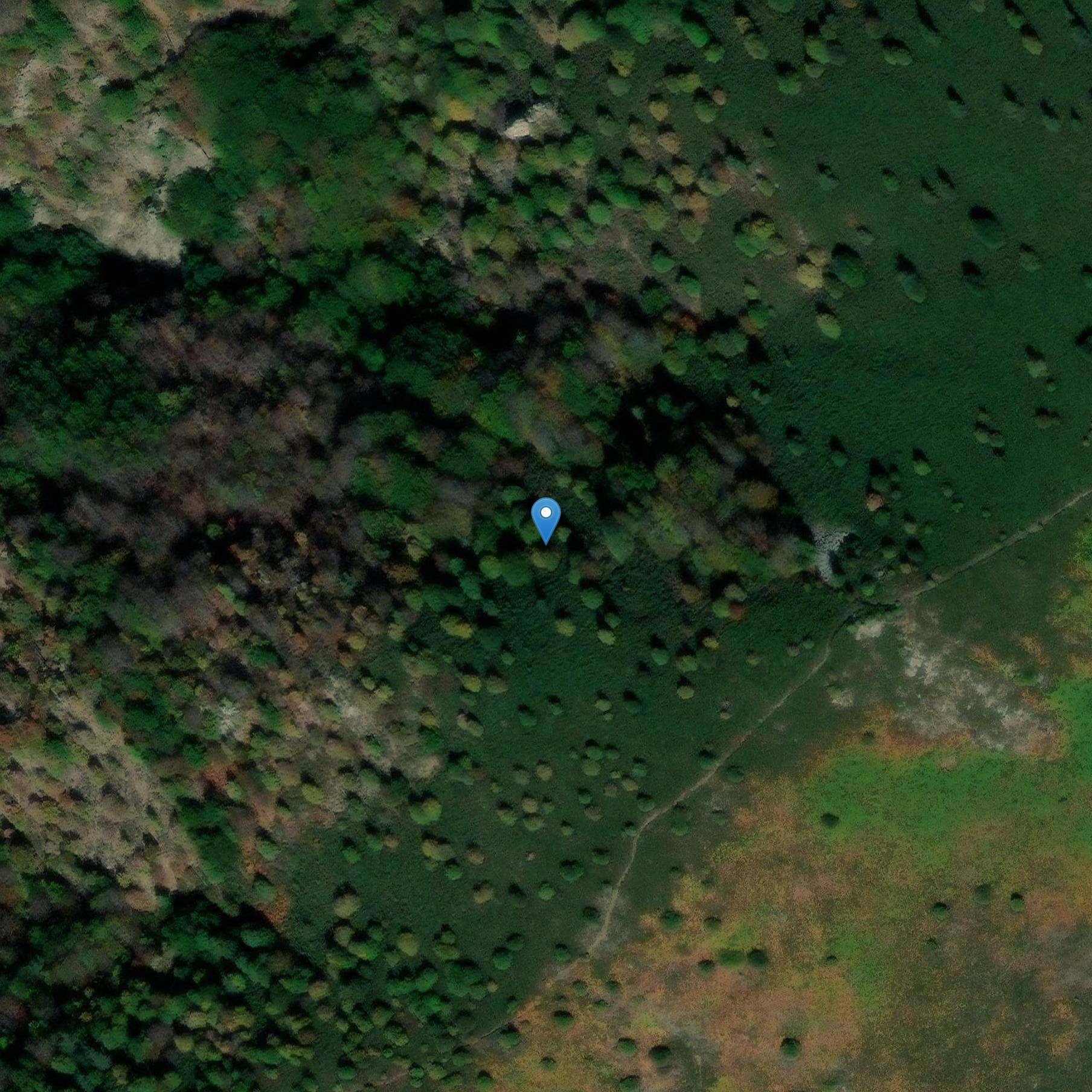 Photo de PereyresのPra-Plotファー�