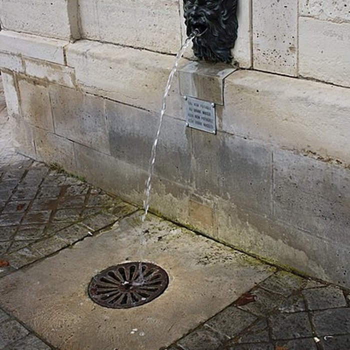 Photo de Fontaine de la place Saint-Louis de Versailles