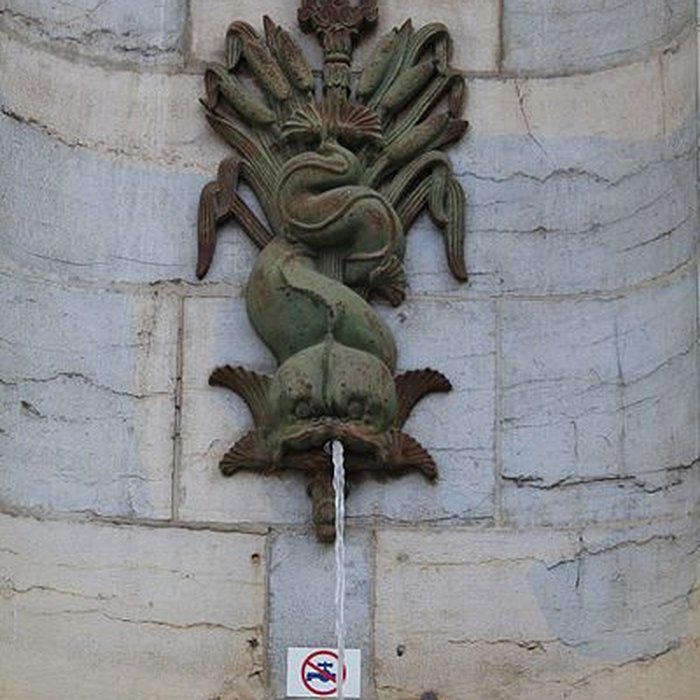 Photo de Fontaine de la Sirène à Poligny