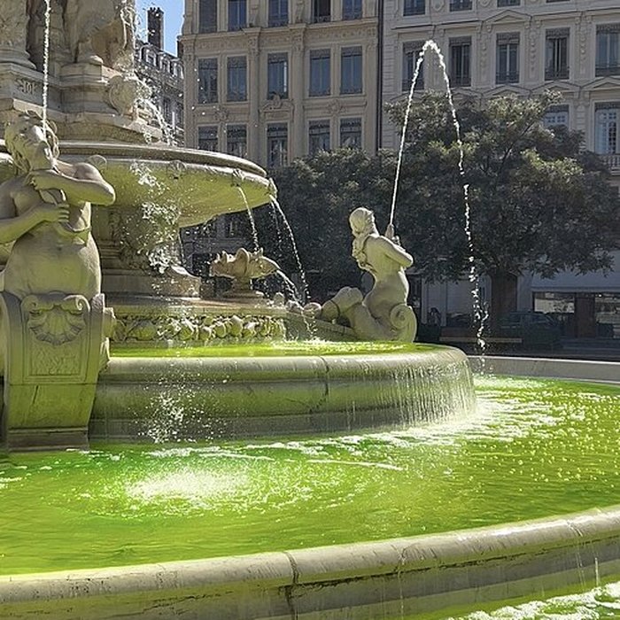 Photo de Fontaine des Jacobins de Lyon