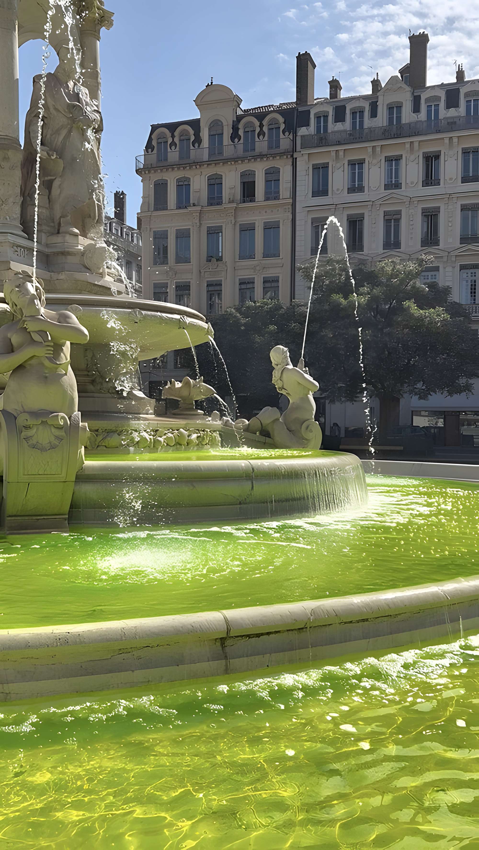 Fontaine des Jacobins de Lyon 