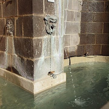 Fontaine du Crapaud de Riom