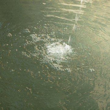 Fontaine du Crapaud de Riom
