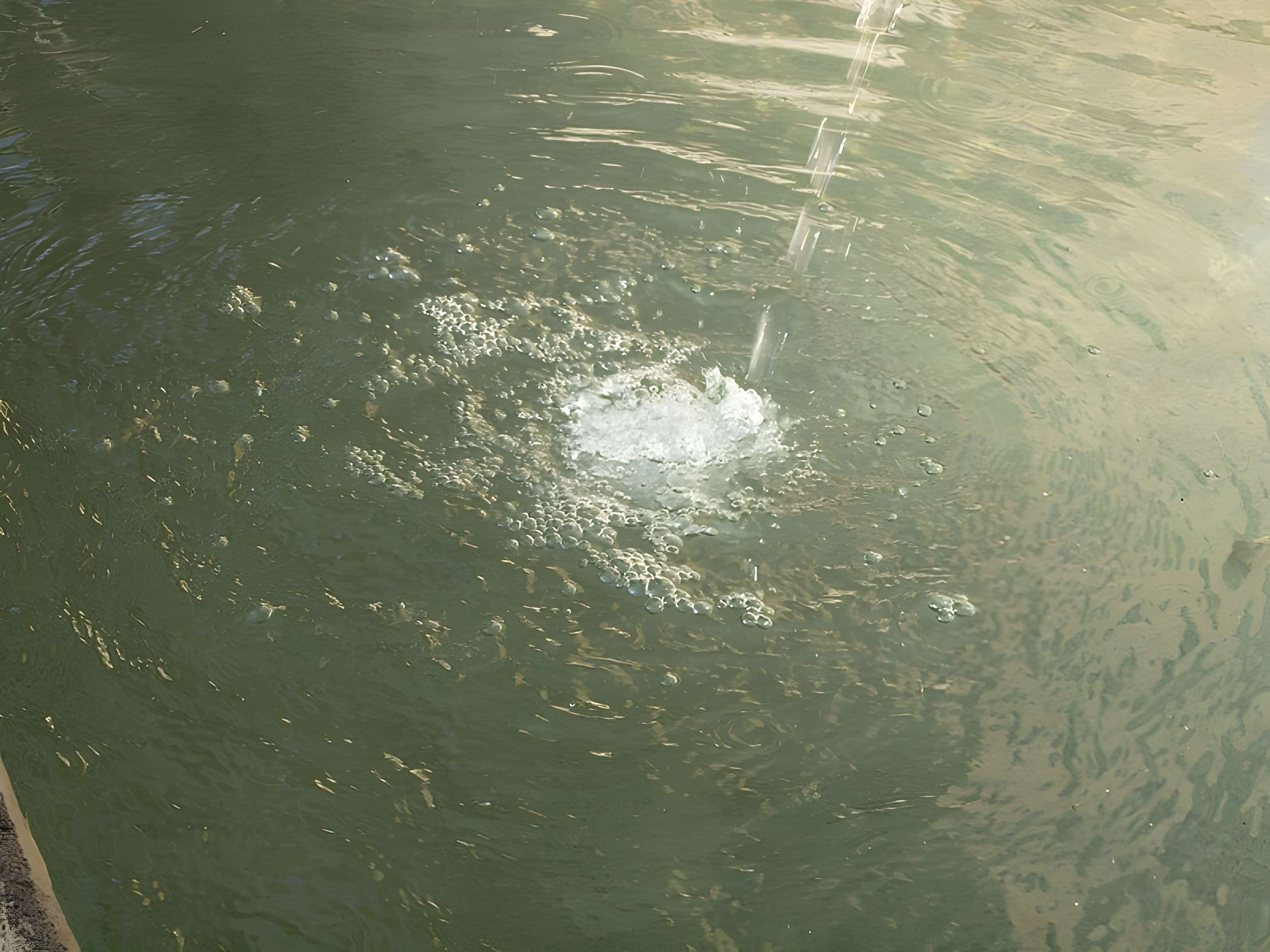 Fontaine du Crapaud de Riom
