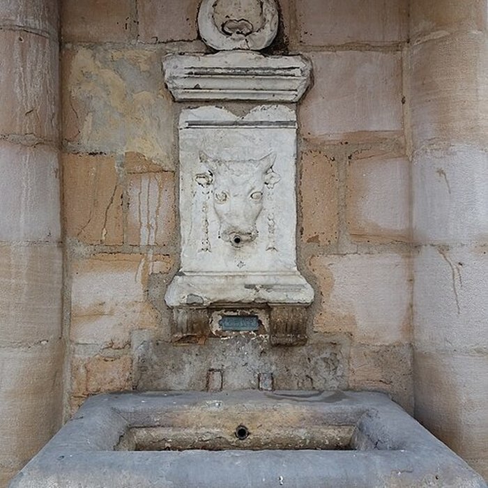 Photo de Fontaine du Taurobole à Lyon