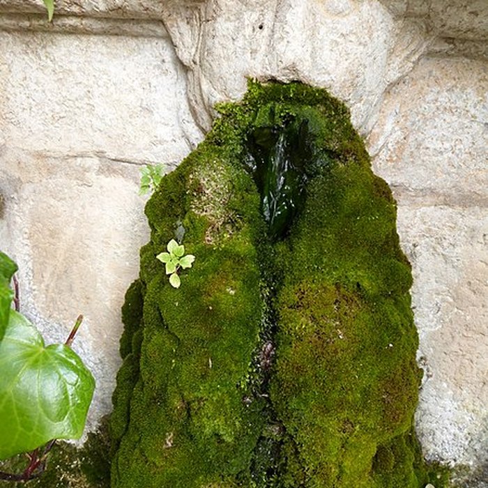 Photo de Fontaine Saint-Jean de La Cadière-dAzur