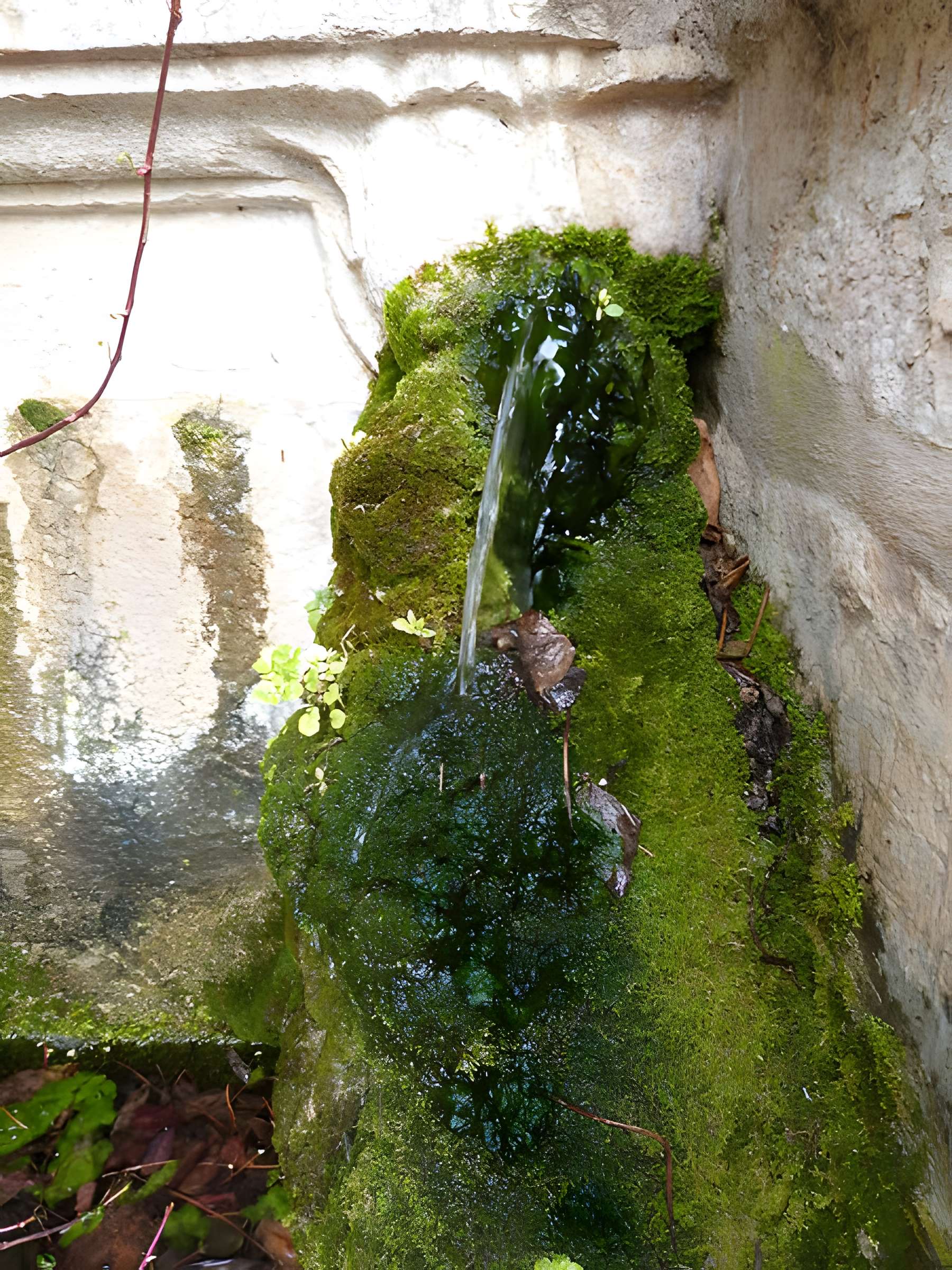 Fontaine Saint-Jean de La Cadière-d'Azur