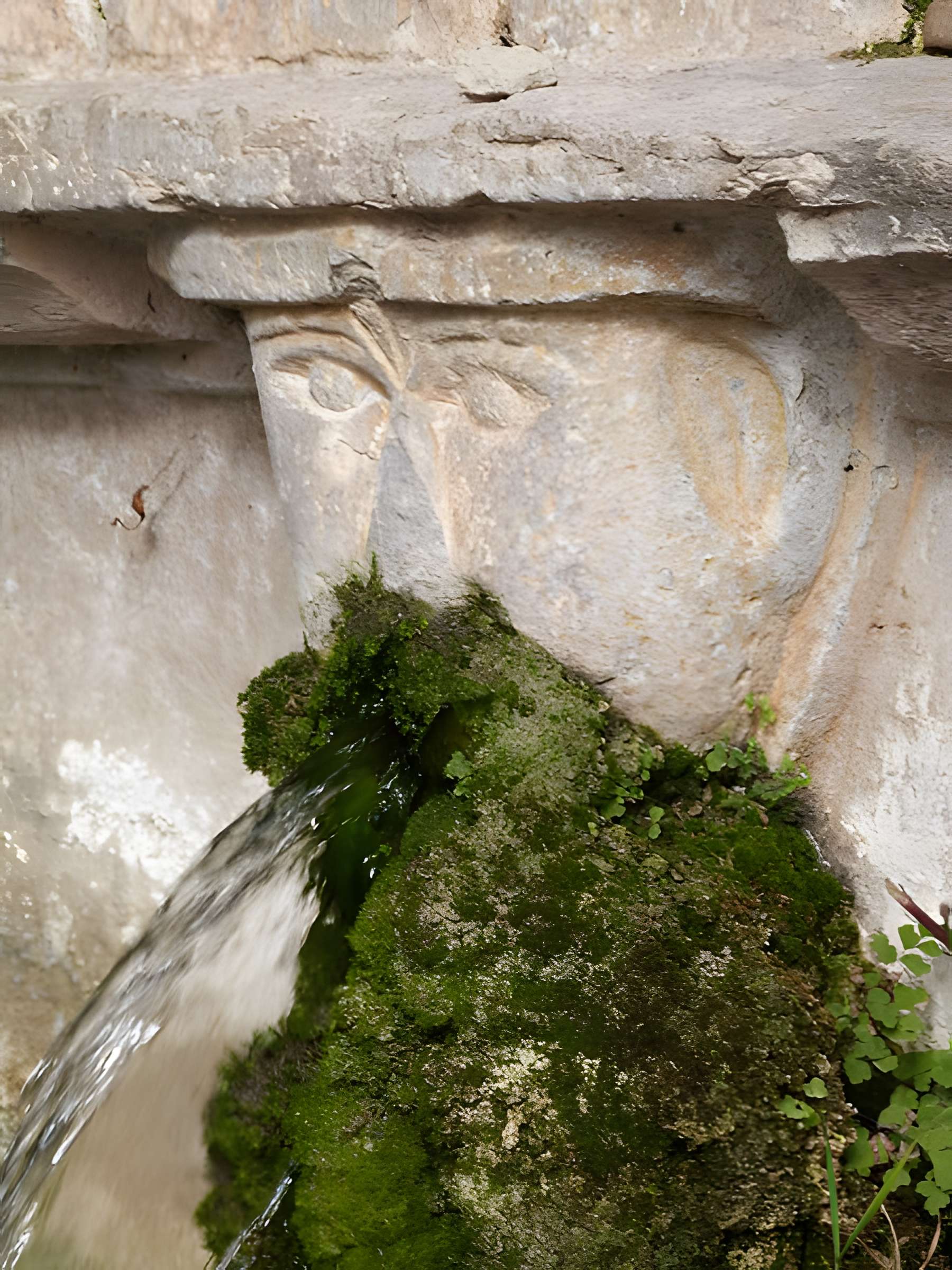 Fontaine Saint-Jean de La Cadière-d'Azur