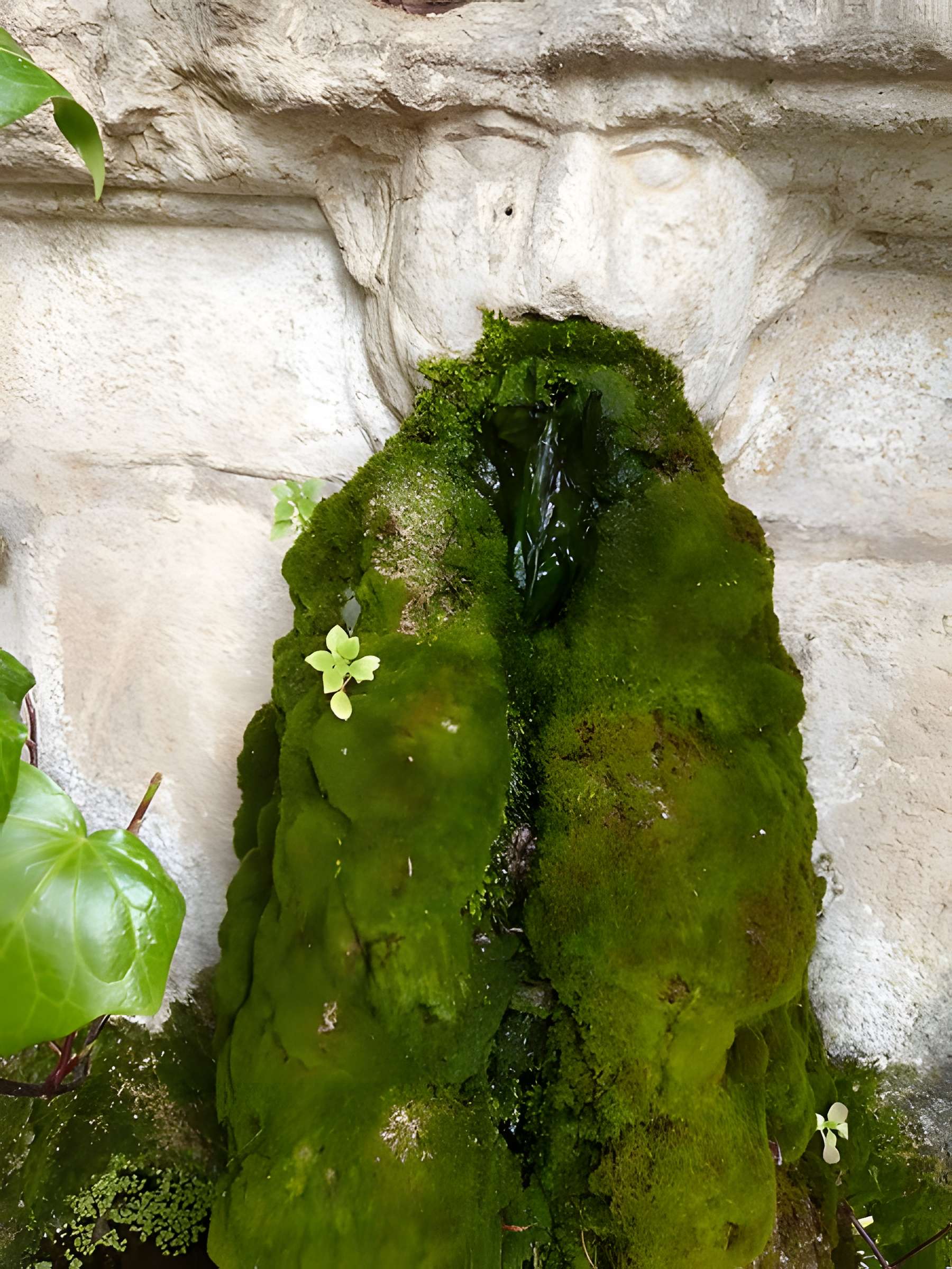 Fontaine Saint-Jean de La Cadière-d'Azur