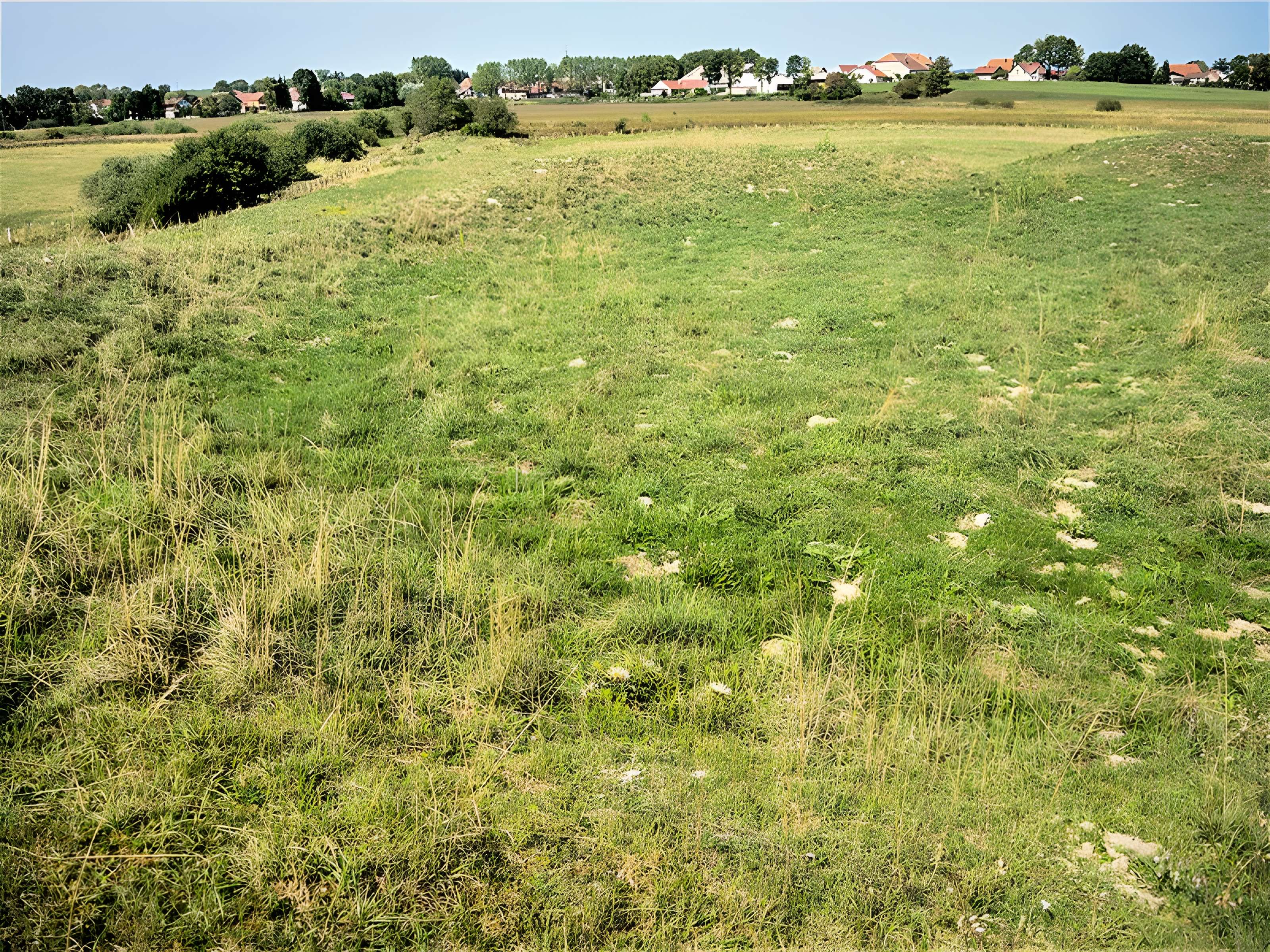 Site du Fort Bachin (également sur commune de Bouverans)