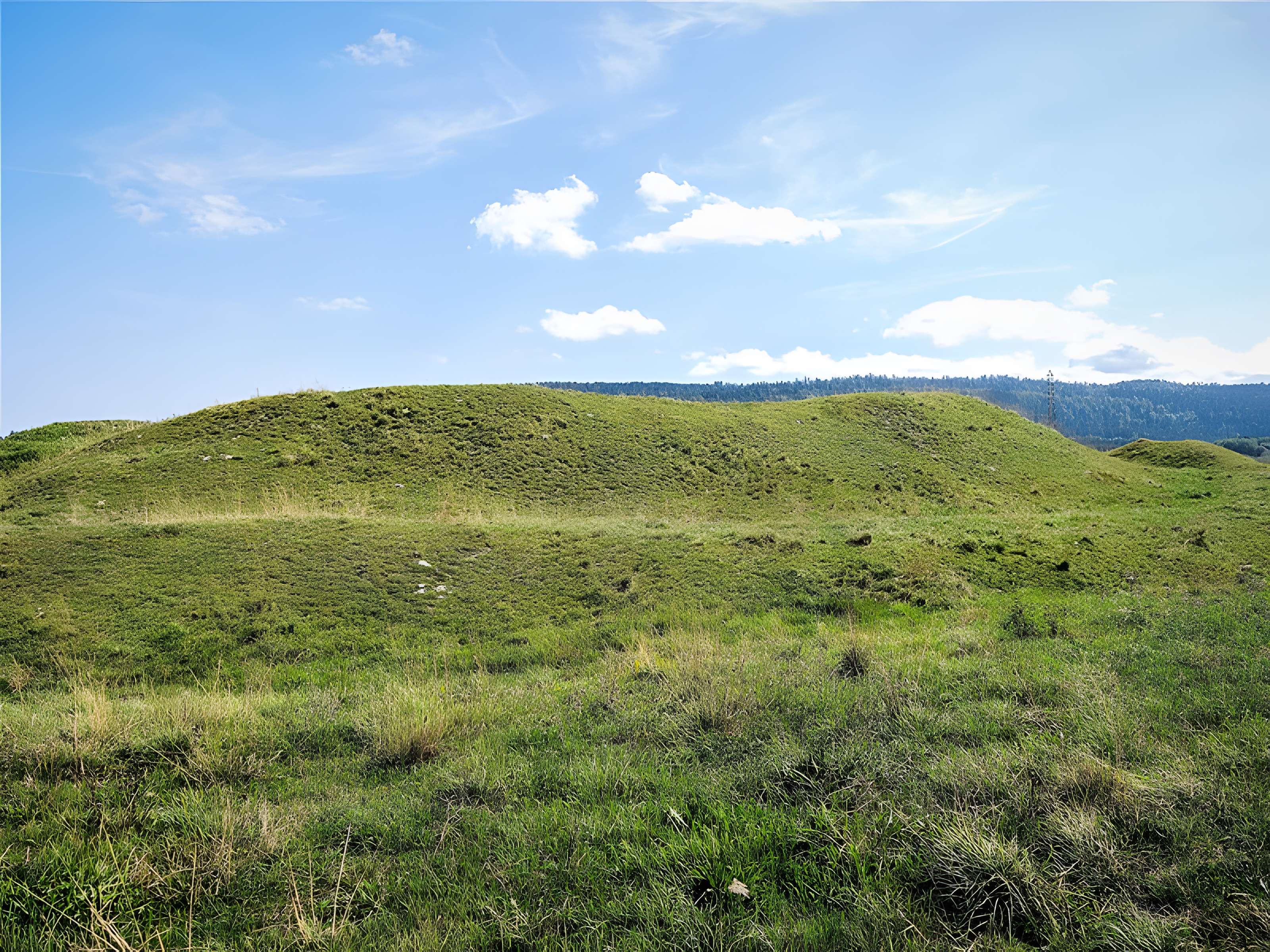 Site du Fort Bachin (également sur commune de Bouverans)