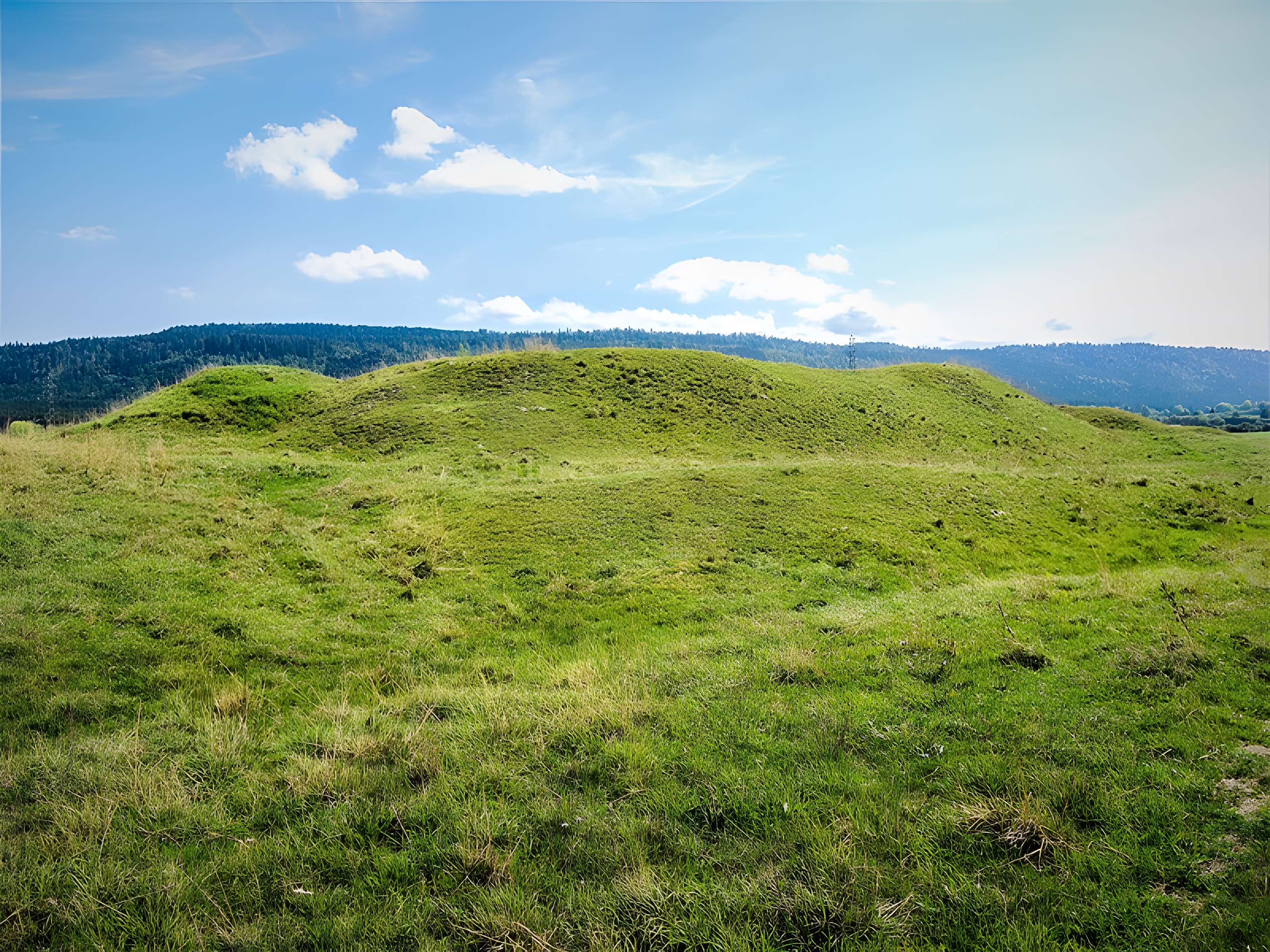 Site du Fort Bachin (également sur commune de Bouverans)