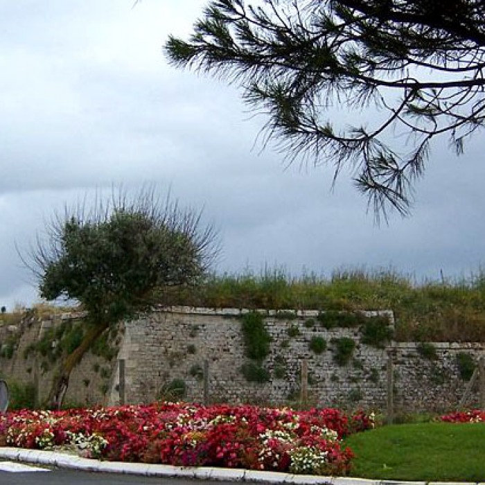 Photo de Fort de lAiguille