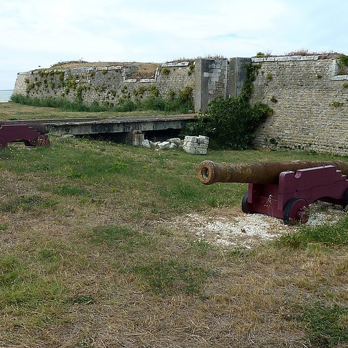 Photo de Fort de lAiguille