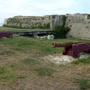 Fort de lAiguille