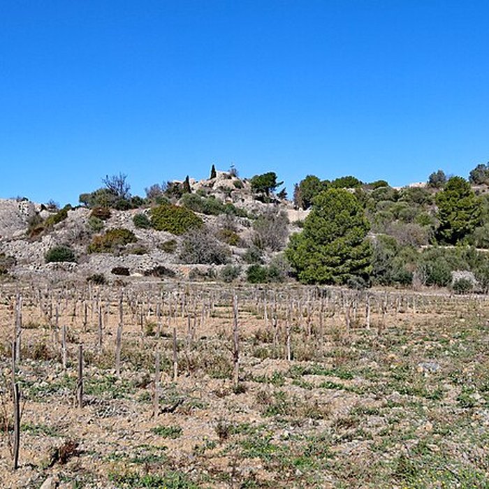 Photo de Fort de Leucate