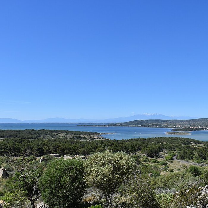 Photo de Fort de Leucate