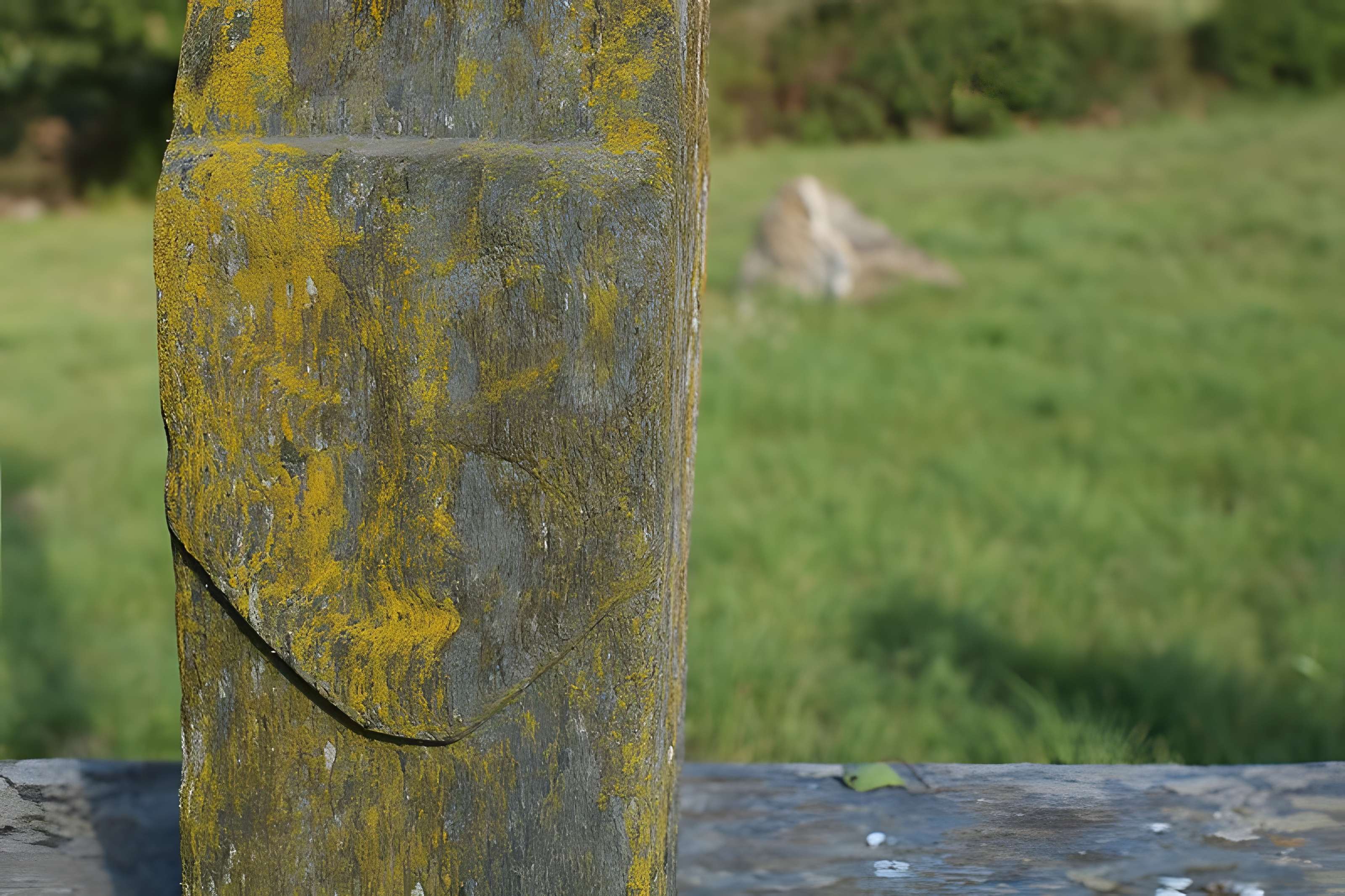 Chapelle du Vieux Bourg à Saint-Sulpice-des-Landes