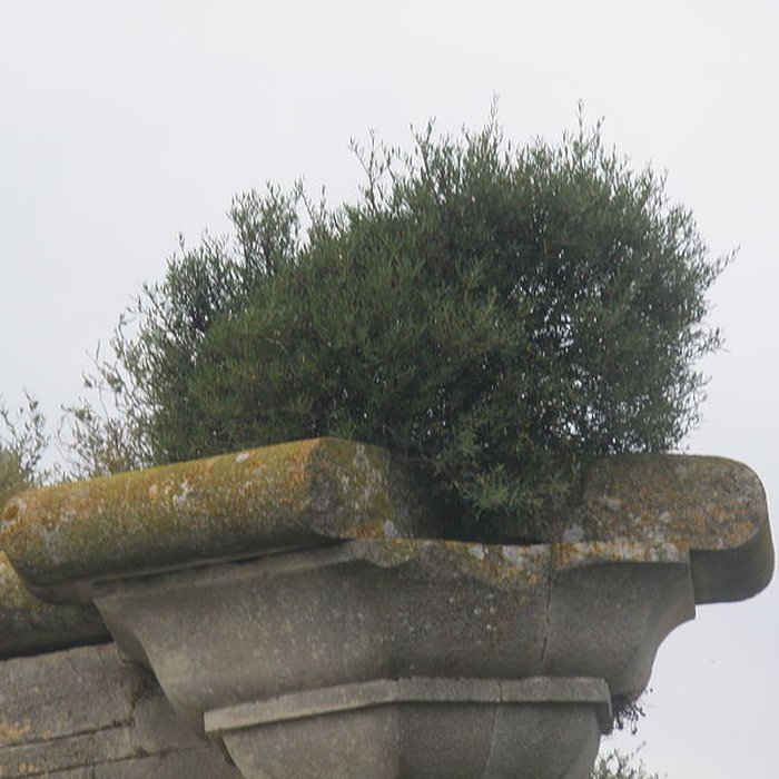 Photo de Vestiges du Fort de Peccais