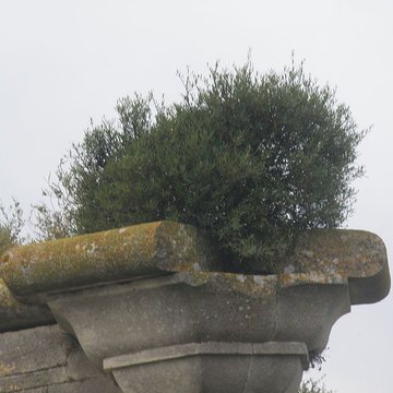 Vestiges du Fort de Peccais