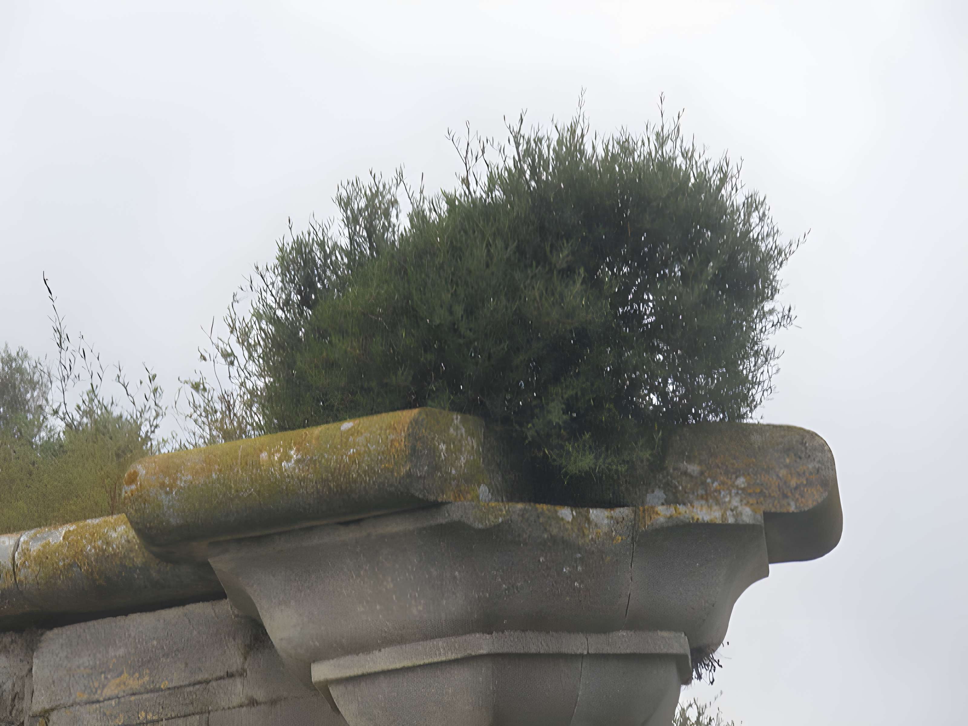Vestiges du Fort de Peccais